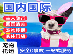 承德航空邮寄国际宠物托运 【国